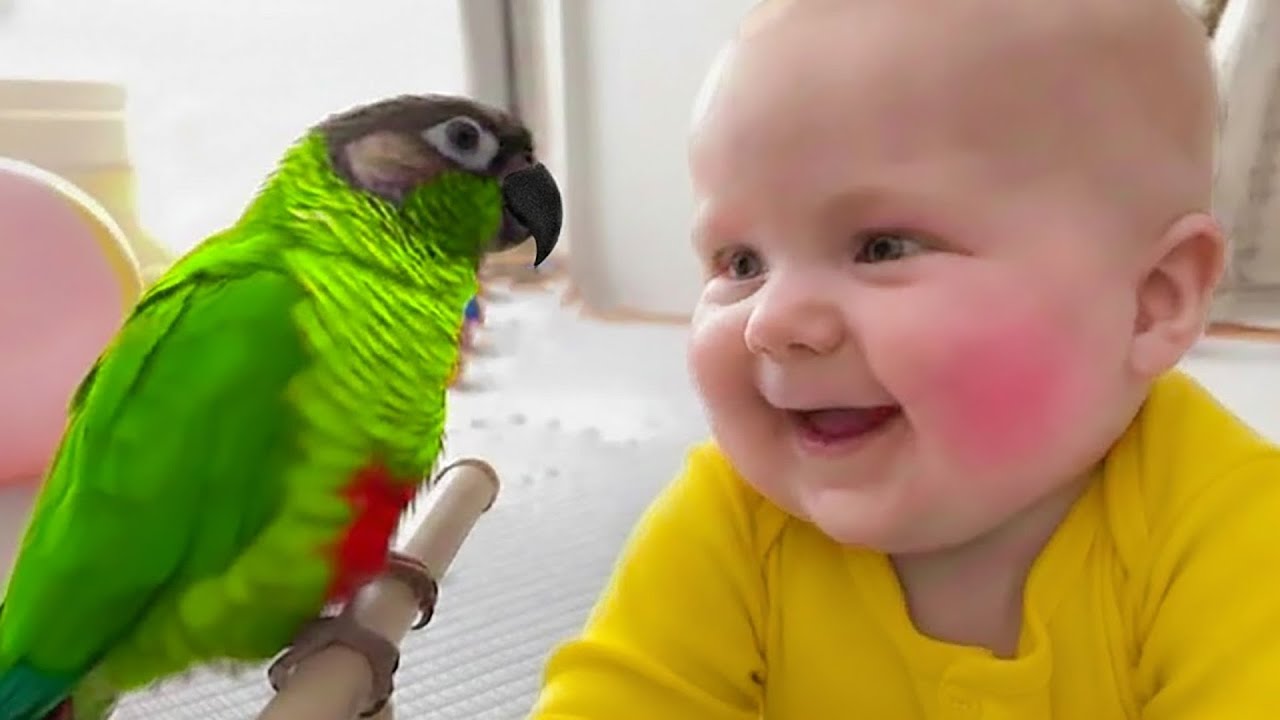 Try Not To Laugh  Funny Babies Meeting Their Pet Birds For The First Time! 🐦👶