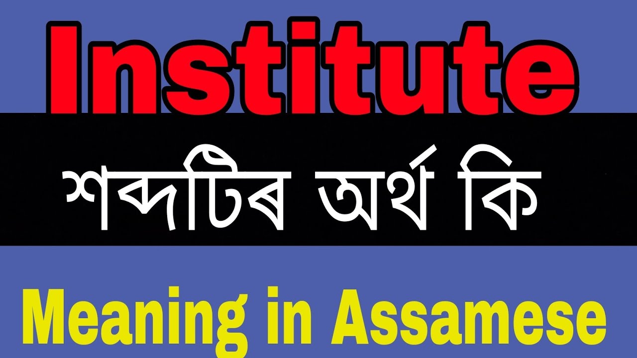 Institute meaning in Assamese/ Institute mane ki janibo paribo. YouTube