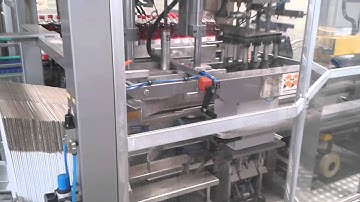 TMG 3 in 1 Carton Packer, case erector and closer