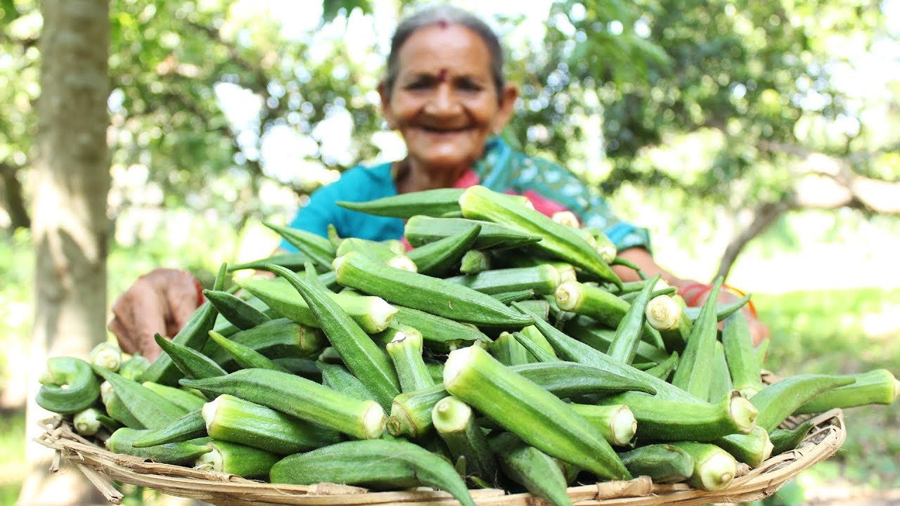 Crispy Okra Kurkure By Grandma || Okra Kurkure Recipe || Myna Street Food