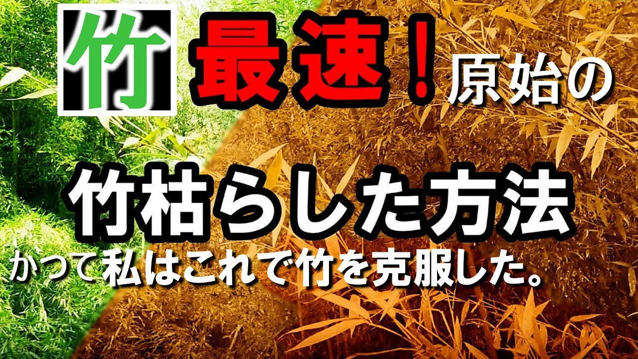 How to make bamboo extinct! You can easily wither and extinguish