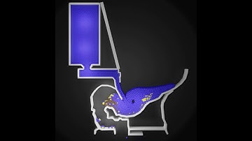 Particle Simulation #7 : Move Like Fluid Simulation Toilet Scene