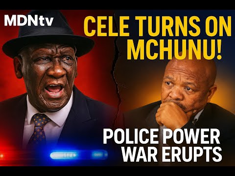Cele Throws Mchunu Under The Bus Ad Hoc Committee Probing Mkhwanazi Allegations