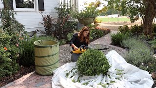 How We Maintain the Garden by Using Zones! Monday Zone! 🌿✂️💪  // Garden Answer