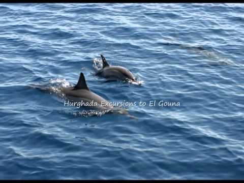 boat trip el gouna el gouna snorkeling and fishing trip by boat from hurghada boat trip el gouna el gouna snorkeling and fishing trip by boat from hurghada