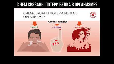 С чем связаны потери белка в организме? #белки #здоровье