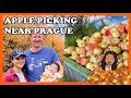 Visiting an apple Orchard in Czech Republic // Life in Prague