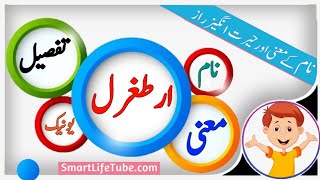 Ertugrul (ارطغرل ) Name Meaning In Urdu& Hindi || Latest Boys Name Ertugrul Name