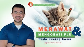 Ep 14 : Mengobati Kucing Flu. Cuman Dikasih Minuman Rumahan Ini, Dijamin Sembuh!