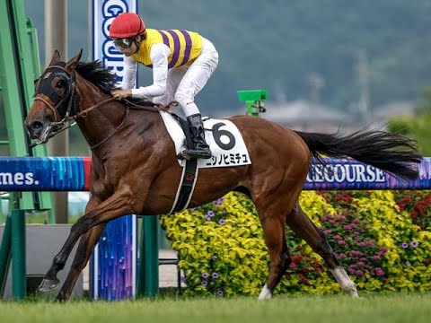 競馬カード the classic ニアコンプ264枚 Amazon.co.jp: 遊戯王 VJMP-JP271 試号閃刀姫－アマツ (日本語版
