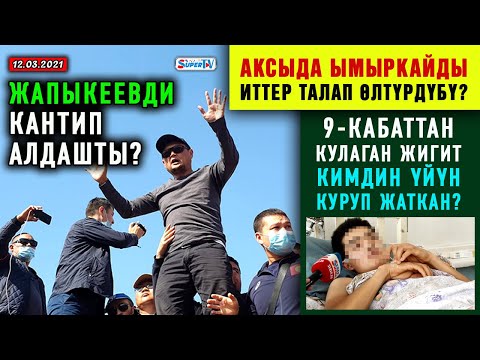 Video: Өлкөдөгү мышык үчүн "тез жардам"