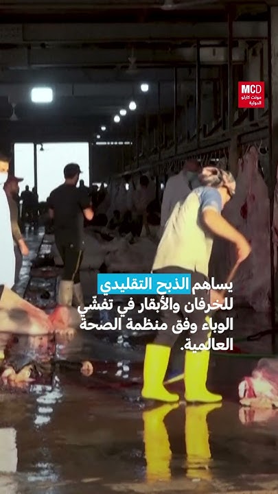          24 /
 - نشر قبل 8 دقيقة