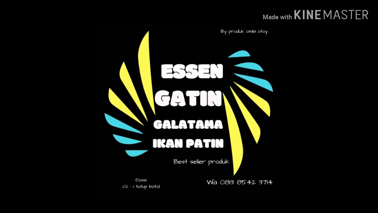 Eseen galatama ikan PATIN Testi moni essen GALATAMA IKAN PATIN