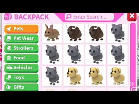 флай петы в адопт