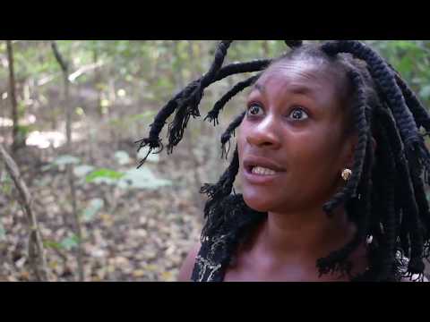 Video: Honeysuckle Halisi (picha 24): Maelezo Ya Honeysuckle Ya Kawaida (msitu). Kukua Msitu Wa Mbwa Mwitu Honeysuckle