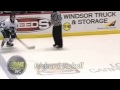 Anaheim Ducks prospects 2011