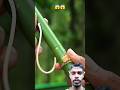 ये बांस का नया डिजाइन #bamboo #diy #bambooart #slingshots #trending #funny #shortsfeed #shorts
