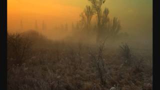 Fog - Fog