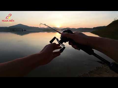 Câu cá tự nhiên - Câu cá Hoàng Đế lúc bình minh - Ngọc Biển Fishing
