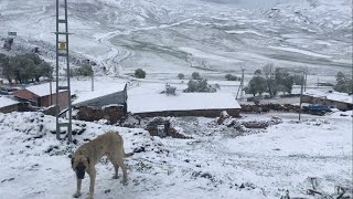 YAZ VE KIŞI AYNI ANDA YAŞIYORUZ