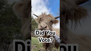 Did YOU Vote Yet?! (Because the Animals Didn’t 😂)