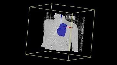 How to use Dicom Web Viewer