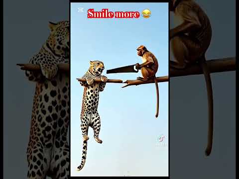 Smile More 2025 Youtubeshorts Shorts Youtube Comedy Viral Trendingvideo Fyp Reels