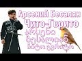 Чито-Гврито Арсений Бесалян. ჩიტო-გვრიტო არსენი ბესალიან