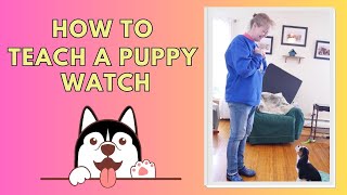 Learn How to Teach a Dog or Puppy to Watch and Look at You | Watch Me Command Week 1