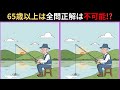 【視線を鋭く👀】3つの間違いを発見せよ!大人のための脳トレクイズ🧠💪【集中力向上】#脳トレ #脳トレゲーム #間違い探し