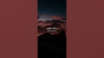 اكتب شيء تؤجر عليه 😴💚 قران كريم | ياسر الدوسري