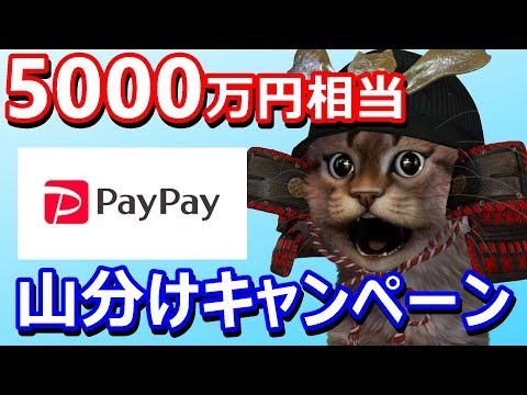 PayPay総額5000万円相当山分けキャンペーン！セブン銀行ATMからエントリーするだけでもらえる