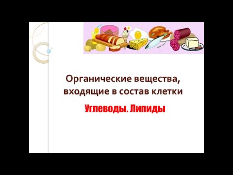 Органические вещества, входящие в состав клетки - БиоЛогика