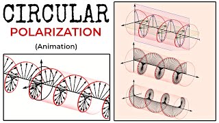 Circular Polarization || Circularly Polarized Electromagnetic Wave, Animation