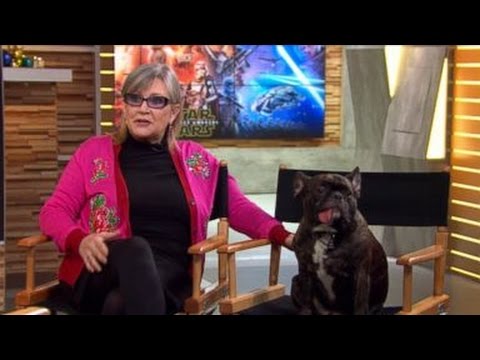 Video: Carrie Fisher Nettovärde: Wiki, Gift, Familj, Bröllop, Lön, Syskon