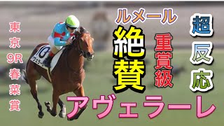 ルメール絶賛　アヴェラーレ 春菜賞　デビューから二連勝「重賞級」2021.2/6