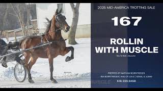 Rollin With Muscle. Lot 167 at the Mid-America Trotting Sale