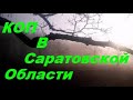 Коп в Саратовской области (видео №3)