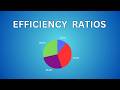 Accounting Efficiency Ratios Explained |