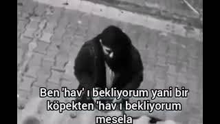 Benim Bir Köpekten Beklentim Hav