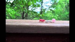 Watch Langhorne Slim Mary video