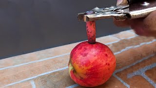 1000 degree Bullet vs apple