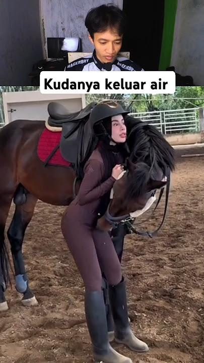 kuda nya ga tahan liat cewek cantik #shortvideo #cewekcantik #fyptiktok #vidoeshort #fyp #viralvideo