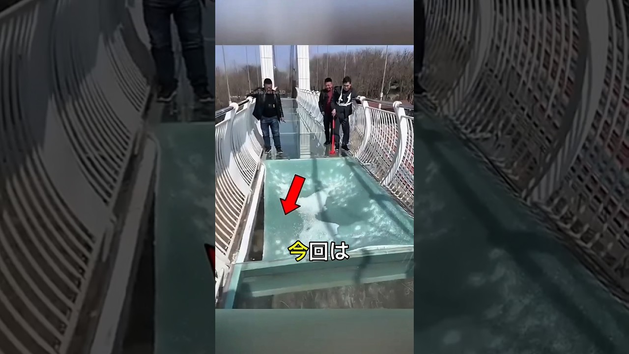 ガラスの橋が本当に崩れた！？ 😱 #ショート動画