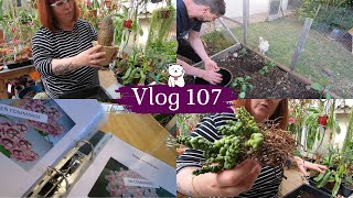 VLOG 107🌿Rempotage Euphorbe obesa et Dischidia | Le potager de Mr Vie_DePlantes | Bonne nouvelle 😉