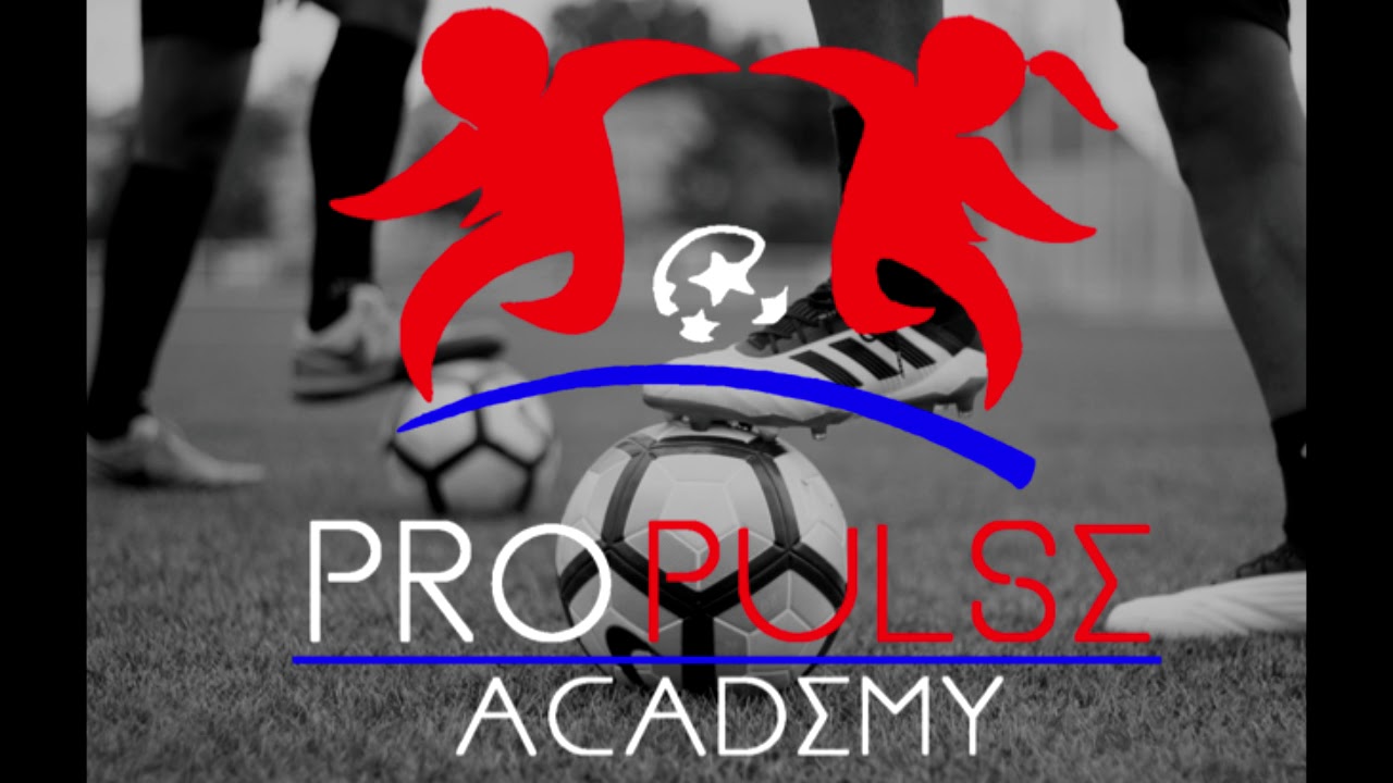 TÉMOIGNAGE 4 - ProPulse Academy - YouTube