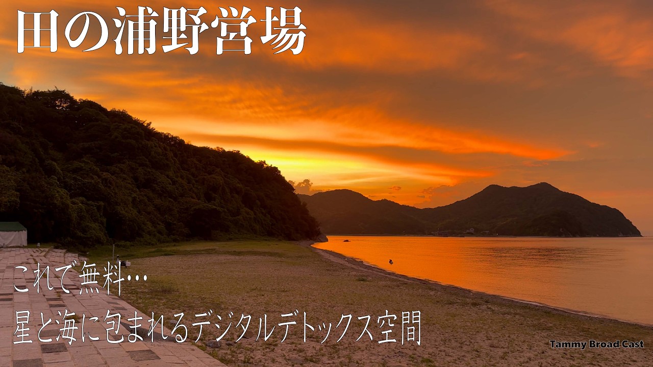 【キャンプログ 田の浦野営場  これで無料…星と海に包まれるデジタルデトックス空間】tammy broad cast