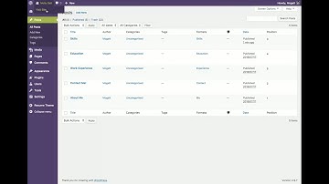 CUSTOM WORDPRESS RESUME THEME
