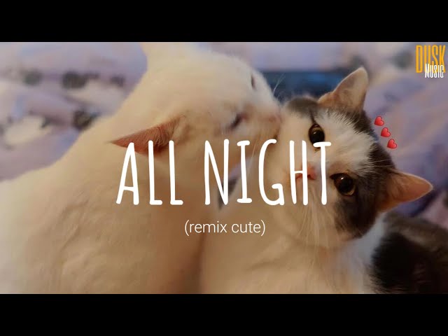 Icona Pop - All Night (remix cute) // (Vietsub + Lyric) Tik Tok Song class=