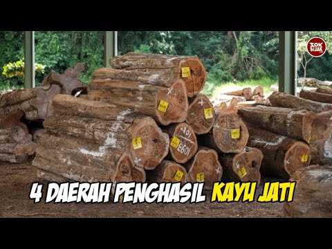 Video: Apakah kayu pita berasal dari nz?